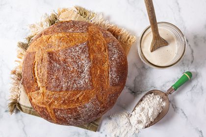 Everything You Need to Know to Make a Sourdough Starter