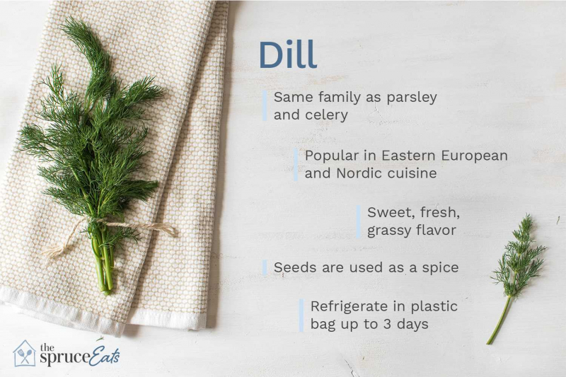 What Is Dill?