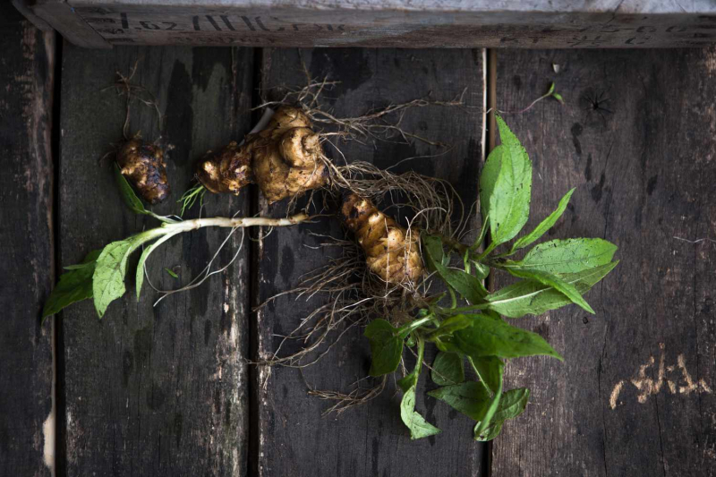 What Are Jerusalem Artichokes?